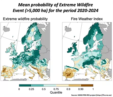 Mean Probability of Extreme Wildfire Events